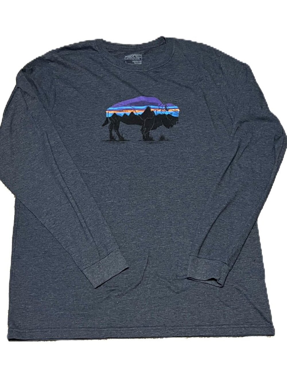 Granola Gorpcore-vibe Patagonia Long-sleeved Fitz Roy Bison T-shirt Men's size L